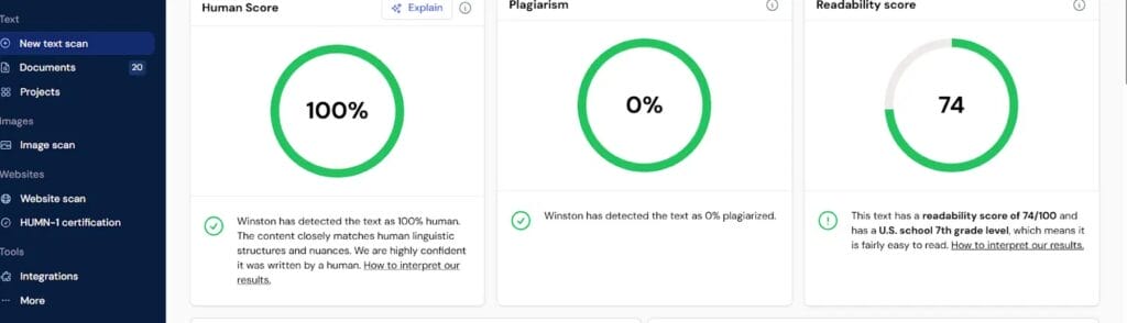 winston ai human results